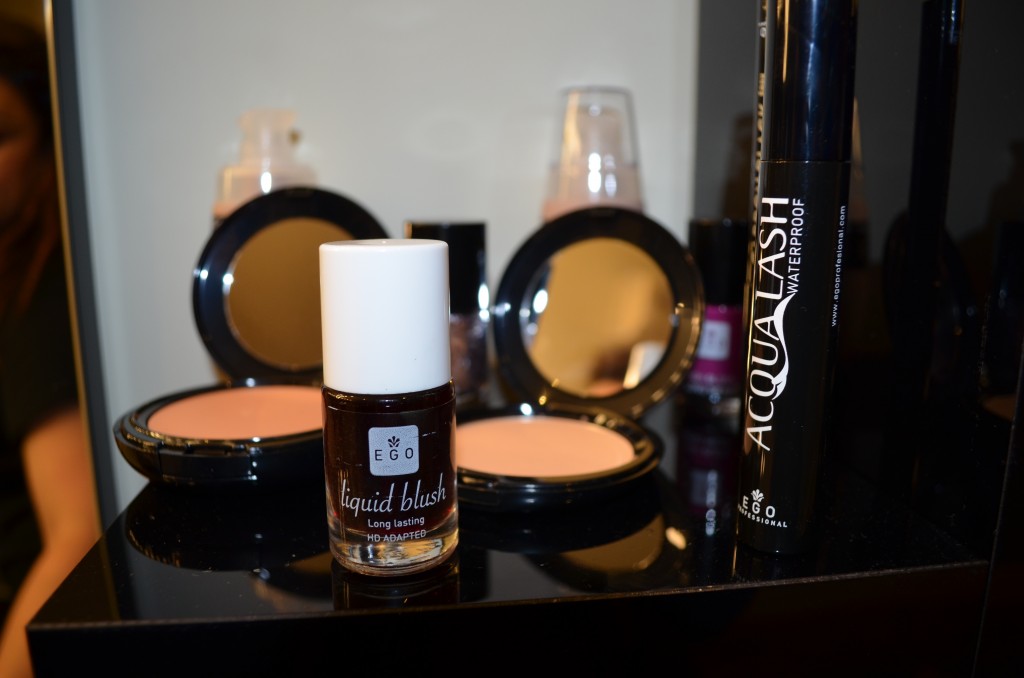 EGO PROFESSIONAL PRESSDAY