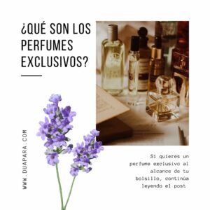 LOS PERFUMES EXCLUSIVOS Y EL VERANO 2022